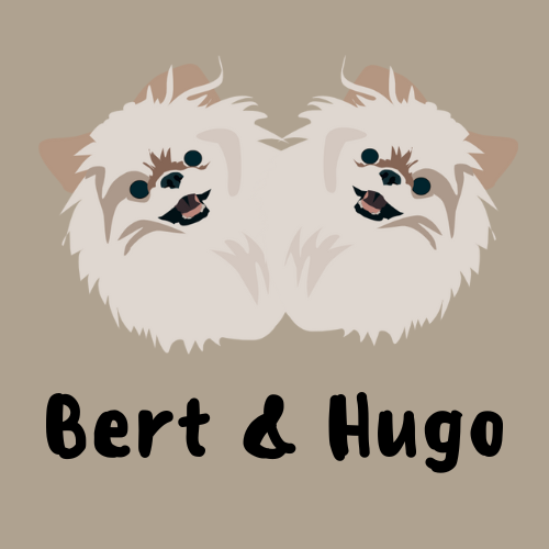 Bert & Hugo